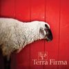 The Flashbulb - Terra Firma