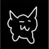 Noquan - catto