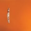 Rosie Lowe - Lover, Other