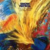 Snow Patrol - This Is The Sound Of Your Voice