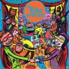 Echo Orbiter - Laughing All the While