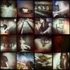 Fossils - Fossils 4