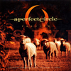 A Perfect Circle - Passive