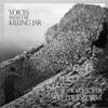 Wet Ink Ensemble - Voices From the Killing Jar