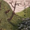 Apocalyptic Junk - Luck