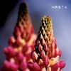 HṚṢṬA - Ghosts Will Come and Kiss Our Eyes