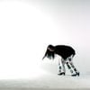 Bria Salmena - Bending Over Backwards