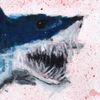 Gizmo - If I Was A Great White Shark