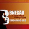 BNegão & Seletores De Frequência - Enxugando Gelo