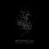Nyctophiliac - Street Sceneries