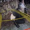 Sickboyrari - Masked Up Lyke Jason We Slit Shyt