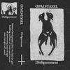 Opal Vessel - Disfigurement