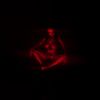 Zheani - Sex Never Dies