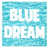 Turnover - Blue Dream