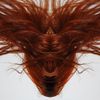 Dave Phillips - A Collection of Hair