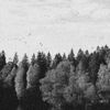 October Falls - A Collapse of Faith