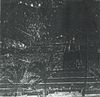 Arecaceae - Observatory Cg II & III (Coconut of Teotihuacan)