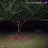 Brent Faiyaz - Natural Release