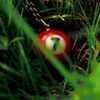 SeaGreenPea - 100% Definite Songs