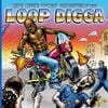 Madlib Medicine Show #5: History of the Loop Digga, 1990–2000