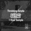 Throbbing Gristle - TG24 - 1 Hour Sample