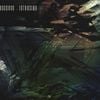 UndaCova - Intrusion
