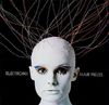 Mort Garson - Electronic Hair Pieces