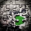 Shed Theory - Puzzle