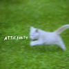 attic party - during hard times i fail slowly but surely