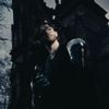 Chris Grey - THE CASTLE NEVER FALLS