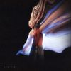 Forest Claudette - & Stone Between