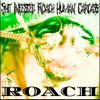 Shit Infested Roach Human Carcass - Roach