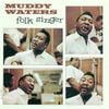 Muddy Waters - Folk Singer