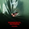 Glass Animals - Wonderful Nothing - Edit