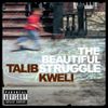 The Beautiful Struggle