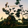 Paisley Pants - sun/flower (demo)