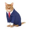 idk man I guess this one is called kitten with mortgage but I really have no idea anymore