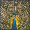 The Bluetones - Expecting to Fly
