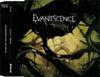 Evanescence - Missing