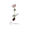 DAMNED - Anemone