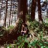 Haley Heynderickx - Foxglove