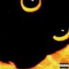naoeofer - Meu Gato Quer Me Matar