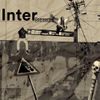 BudgieMint - Interconnected