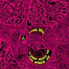 Spacemen 3 - Taking Drugs To Make Music To Take Drugs To