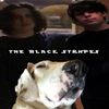 The Black Stripes - The Black Stripes