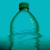 Water Bottle - Point and Laugh