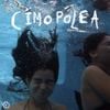 Cimopolea