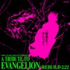 TEST PLUG ADULTS - A Tribute To Evangelion : Rebuild 2.22