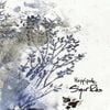 Sigur Rós - Hopp&iacute;polla