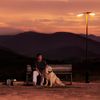 Jamie Miller - Long Way Home
